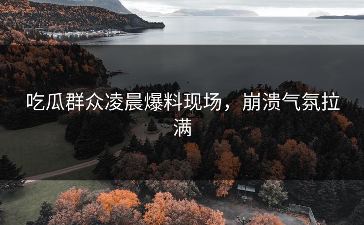 吃瓜群众凌晨爆料现场，崩溃气氛拉满  第1张