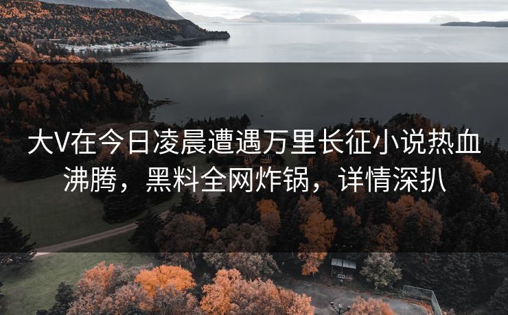 大V在今日凌晨遭遇万里长征小说热血沸腾，黑料全网炸锅，详情深扒