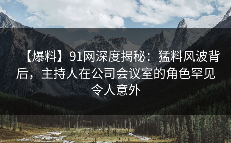 【爆料】91网深度揭秘：猛料风波背后，主持人在公司会议室的角色罕见令人意外