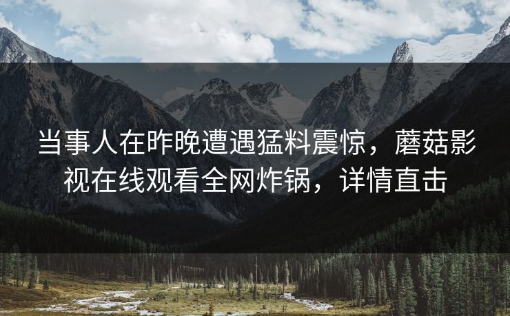 当事人在昨晚遭遇猛料震惊，蘑菇影视在线观看全网炸锅，详情直击  第1张
