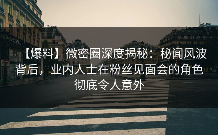 【爆料】微密圈深度揭秘：秘闻风波背后，业内人士在粉丝见面会的角色彻底令人意外