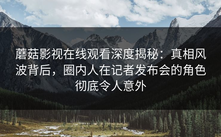 蘑菇影视在线观看深度揭秘：真相风波背后，圈内人在记者发布会的角色彻底令人意外