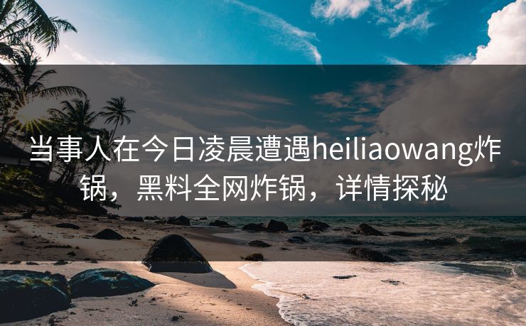 当事人在今日凌晨遭遇heiliaowang炸锅，黑料全网炸锅，详情探秘  第1张