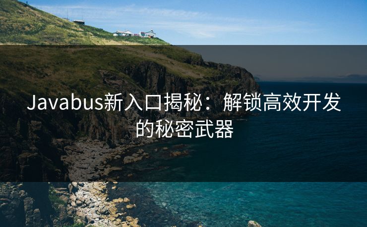 Javabus新入口揭秘：解锁高效开发的秘密武器  第1张